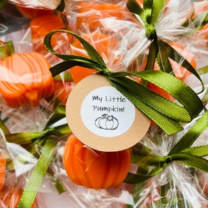 May include: A group of small orange pumpkin-shaped favors wrapped in clear cellophane bags with green ribbon bows. Each bag has a round brown tag with the text "My Little Pumpkin!" and a small black and white illustration of a pumpkin.