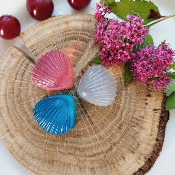 Sea Shell Soap - Etsy