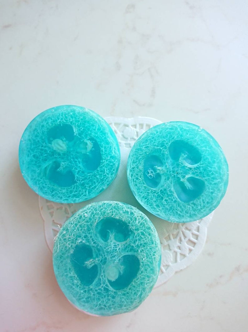 Loofah Soap Bar Natural Glycerine Hand Soaps Wrapped Gift Etsy