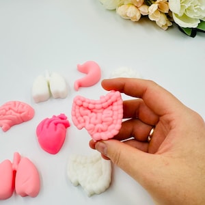 10pcs Medical Anatomy Soap Favors, Nurse and Doctor Mini Soaps, Healthcare Party Gifts