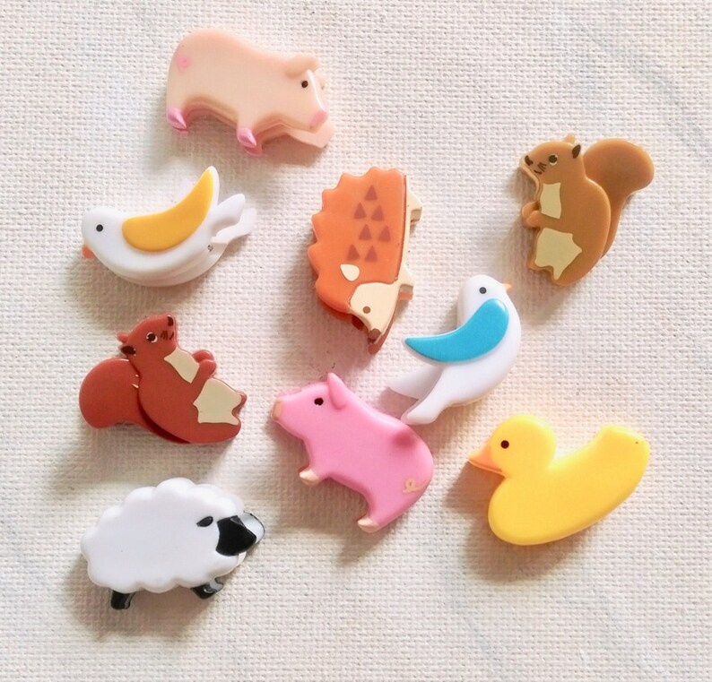 pig rubber duck