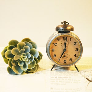 May include: A silver alarm clock with a white face and black numbers. The clock has a bell-shaped top and is set to 11:55. A green succulent plant is in the foreground.