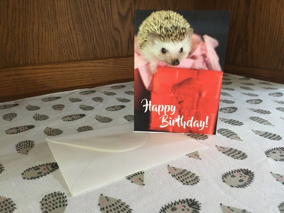 Carte Herisson Anniversaire Etsy