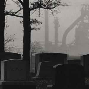 The Ford Rouge Plant and Woodmere Graveyard, Dearborn, MI