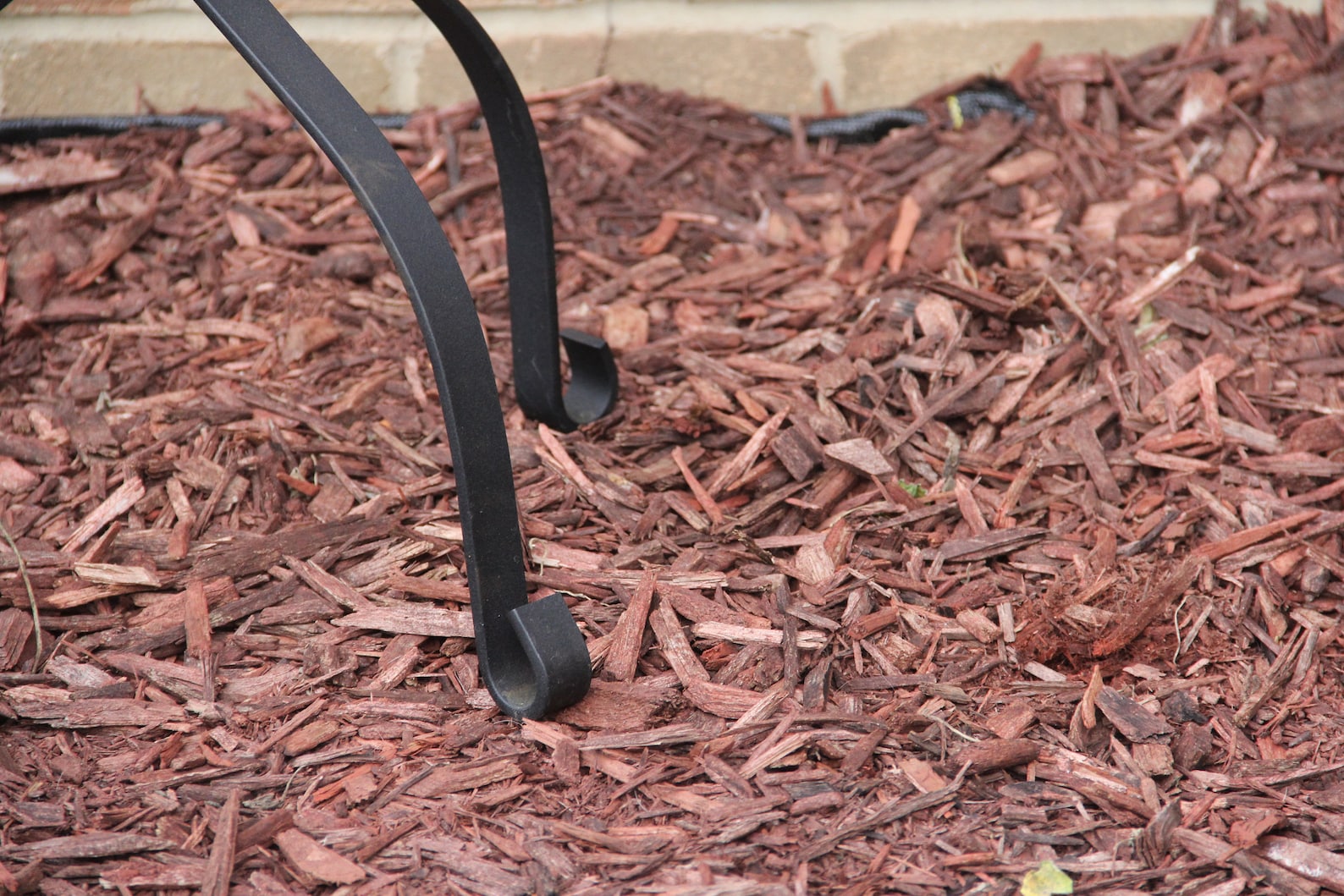 Ornamental Plant Stands 3 Sizes Etsy