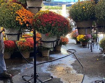 Tornado Flower Tree - BASE SOLD SEPARATELY