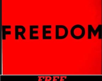 T-Shirt-Charlie Kirk-FREEDOM