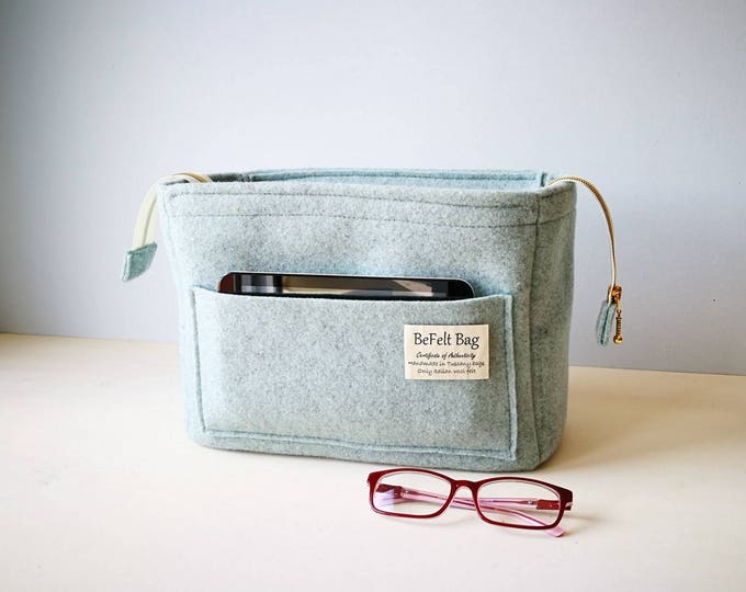 Organizer for bag with zip, ice color