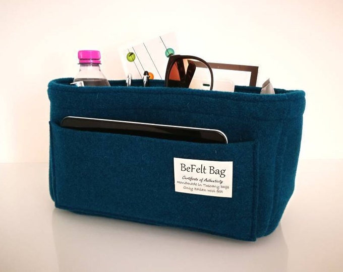 Organizer for bag