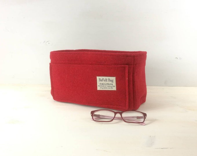 Organizer for bag