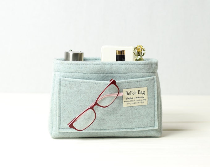 Color ice organizer for bag