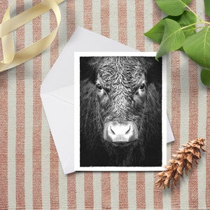 Watercolor Shaggy Black Cow Face Farmhouse NotecardRustic Animal Greeting CardsCow Thank You CardsInked Cow Face image 3