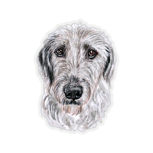 May include: A watercolor painting of an Irish Wolfhound dog's face. The dog has a white and gray coat with brown eyes. The dog is looking directly at the viewer.