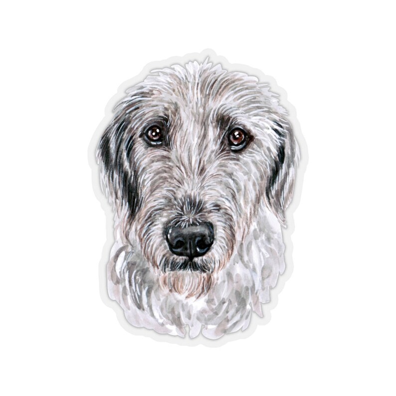 May include: A watercolor painting of an Irish Wolfhound dog's face. The dog has a white and gray coat with brown eyes. The dog is looking directly at the viewer.