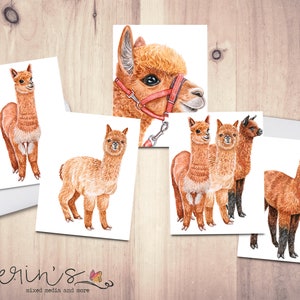 Watercolor Llama and Alpaca Note Card Set~Blank Notecards 5 Image 10 Card Set~100% Recycled Cards~Watercolor Animal Cards~Animal Gifts
