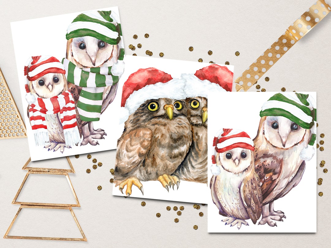 Holiday Owl Babies Card Set~christmas Animal Greetings 6 Card Set~100% ...