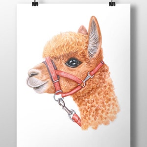 Fawn Alpaca Art Print~Colorful Farmhouse Decor~Watercolor Farmyard Animal Wall Art~Gift for Alpaca Lady~Alpaca Face Painting