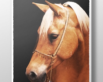 May include: A watercolor painting of a light brown horse with a white mane and a gold chain halter. The horse is looking to the left and has a dark background.