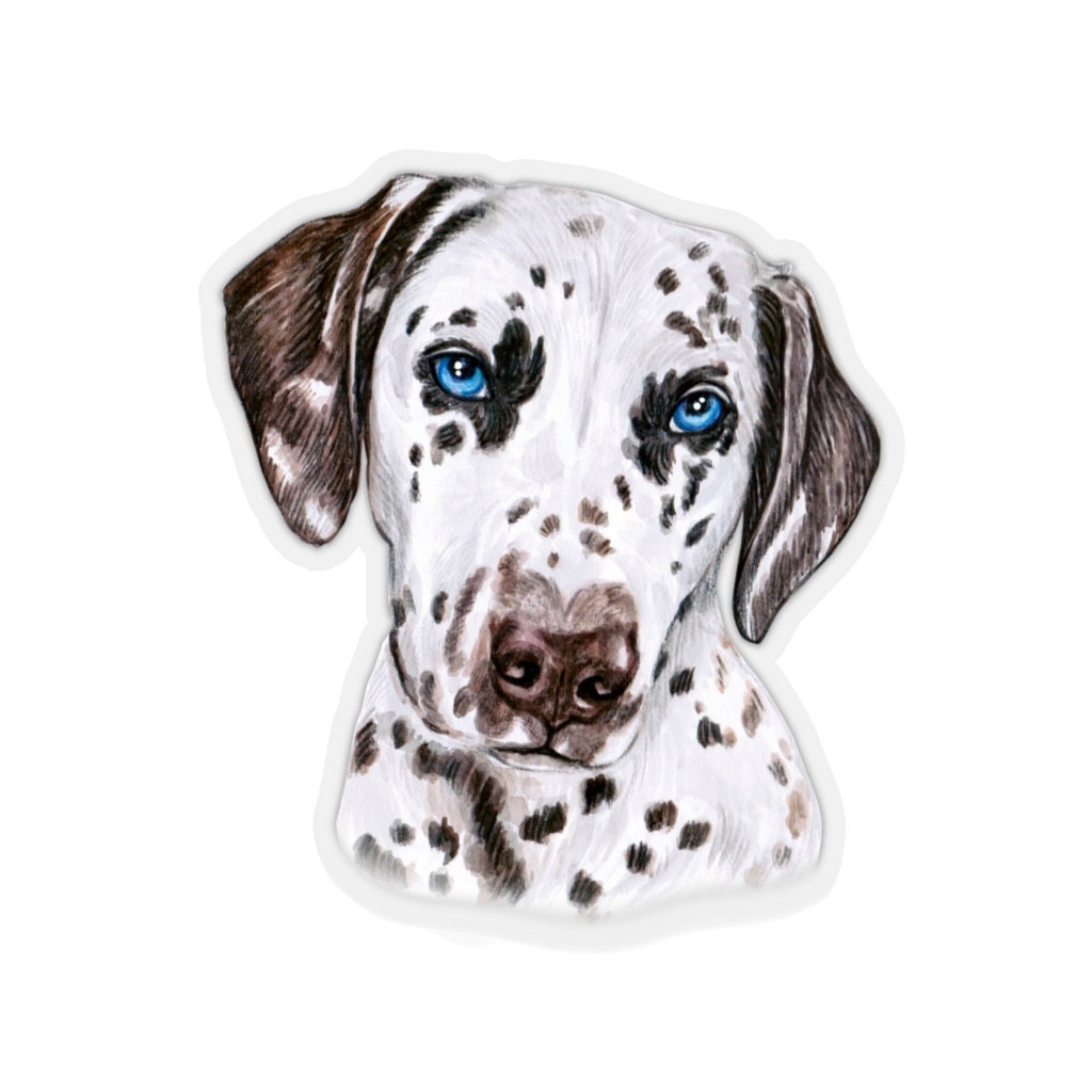 Dalmatian Stickerhand Drawn Dogs Kisscut Decalpretty Pet Etsy
