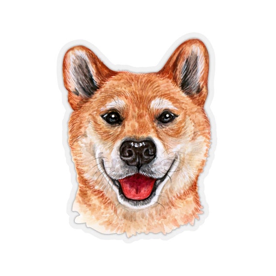 Hollister shiba pjs hot sale