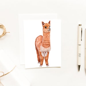 Watercolor Full Alpaca Notecard~Painted Llama Cards~Animal Stationery~Cute and Cuddly Farm Animals~Alpaca Gifts