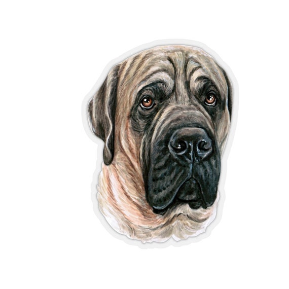 English mastiff sale gifts
