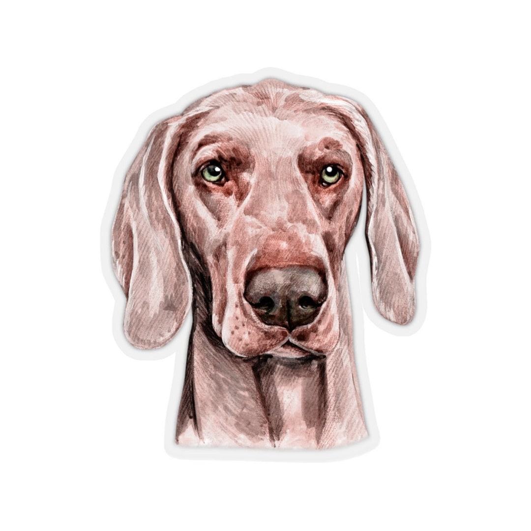 Immagine di Winorama