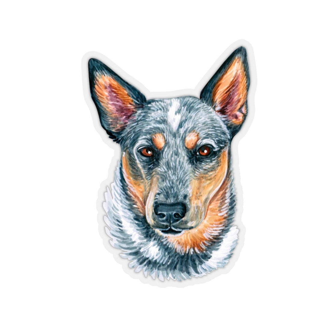 Australian Cattle Dog Stickerworking Dog Illustrationsmixed Media Hand