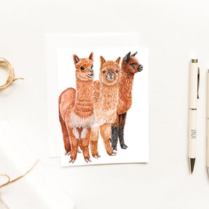 Three Alpacas Notecard~Watercolor Alpaca Cards~Animal Stationery~Cute and Cuddly Farm Animals~Alpaca Gifts