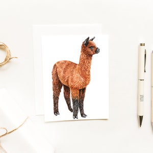 Black and Brown Alpaca Notecard~Watercolor Llama Cards~Animal Stationery~Cute and Cuddly Farm Animals~Alpaca Gifts