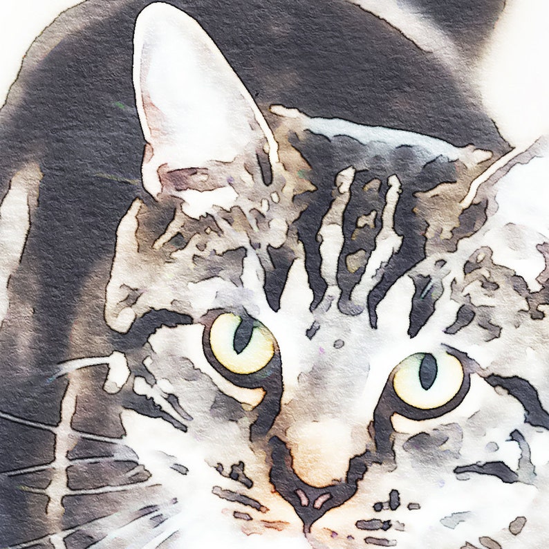 Custom Cat Watercolor Portrait~Cat Portrait~Watercolor Pet Portrait~Custom Pet Portrait~Gift for Pet Lover~Pet Memorial Portrait