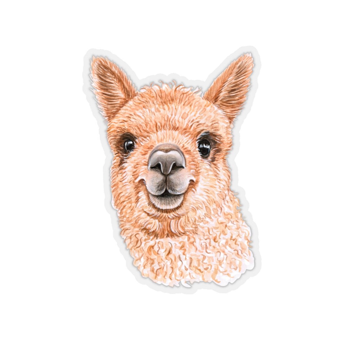 Alpaca Sticker~watercolor Kiss-cut Alpaca Laptop Decal~clear Back ...