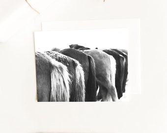 Horse Tails Cards~Black and White Watercolor Horse Bum Note Cards~Horseback Thank You Card~Gift for Horse Lover