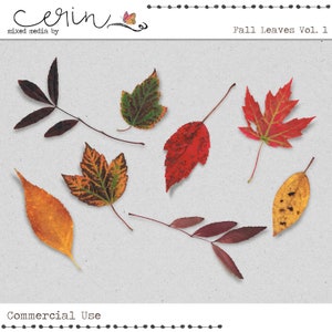 Digital Fall Leaves~Autumn Leaves~Digital Elements~High Quality Commercial Use Elements~Digital Scrapbooking~Halloween~Thanksgiving~Greenery