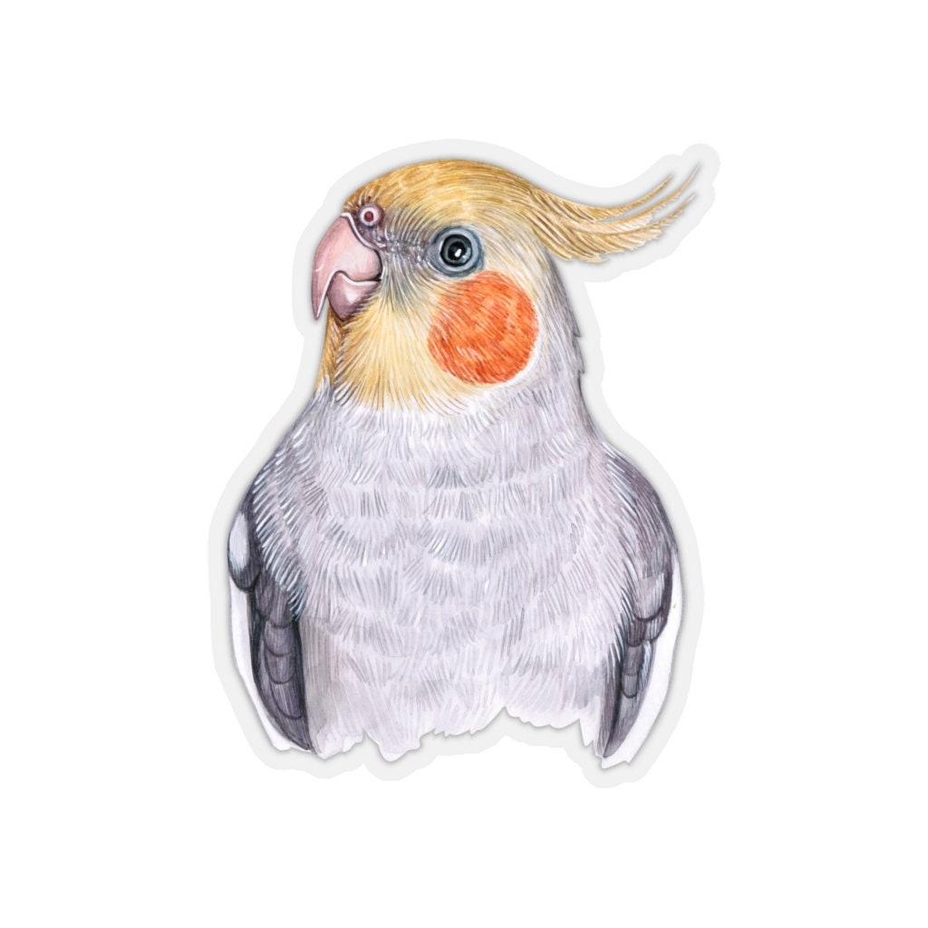 Colorful Cockatoo Sticker~Hand painted Birds Kiss-Cut Decal~Pretty Pet Accessories~Gift for Bird Lover~Cockatoo Gifts~Bird Party Favor