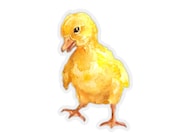 Duckling Sticker Watercolor Kiss-Cut Baby Duck Laptop Decal Clear Back Sticker Baby Farm Animals Decals Duckling Gifts Baby Shower Favor
