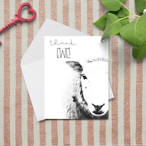 Sheep Thank Ewe Cards~Black and White Watercolor Note Cards~Single Painted Sheep Thank You Card