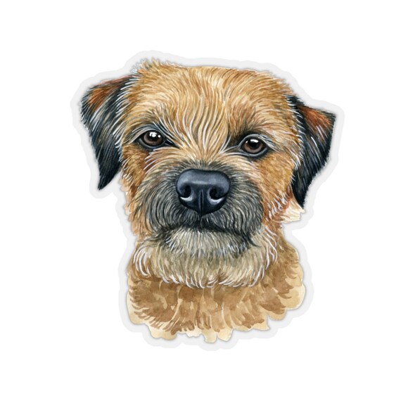 can you trim a border terrier