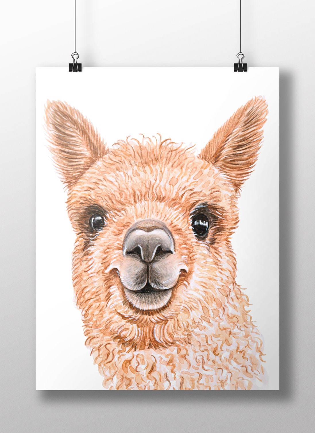 Alpaca Face Drawings
