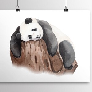 Sleepy Panda Watercolor Print~Nursery Panda Canvas~Animal Wall Art~Cute Baby Animal Art Print~Zoo Animal Canvas~Gift for Baby Shower
