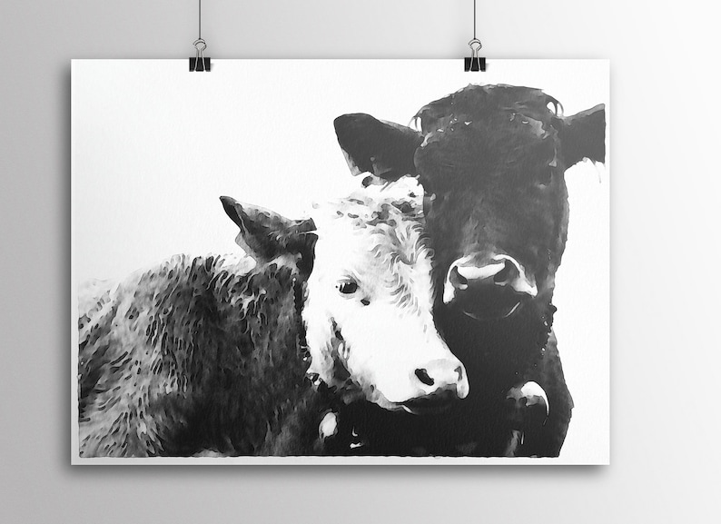 May include: Black and white watercolor painting of two cows cuddling. The cow on the left is white with black spots, and the cow on the right is black with a white face.