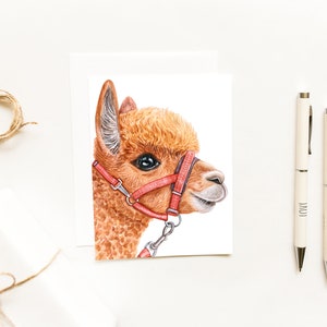 Alpaca Profile Notecard~Watercolor Alpaca Cards~Animal Stationery~Cute and Cuddly Farm Animals~Alpaca Gifts