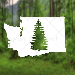 Washington State Evergreen tree - car, window, laptop, tablet decal - pnw love, pnw pride, pnw decal, Washington State decal, WA Love