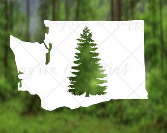 Decalcomania Pacific Northwest Evergreen - Vinile resistente alle intemperie per auto o laptop