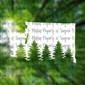Washington State EvergreenForest Decal - car, window, laptop, tablet decal - pnw love, pnw pride, pnw decal, Washington State decal, WA Love
