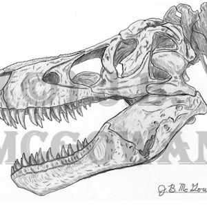 Pode incluir: Um desenho a lápis detalhado de um crânio de Tyrannosaurus Rex. O desenho está em tons de cinza e mostra os detalhes intrincados do crânio, incluindo os dentes, a mandíbula e as órbitas. A assinatura do artista, "J.B. Mc Lownan", é visível no canto inferior direito.
