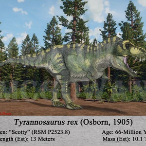 Tyrannosaurus rex: Die tyrannischen Könige der Dinosaurier