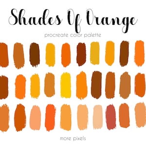 Shadows of Orange, Procreate Color Palette,  Hex Code, iPad, Color Palette, Swatches, INSTANT DOWNLOAD, 30 colors