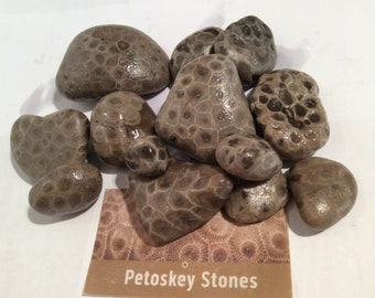 1 lb - Beautiful Unpolished - Lake Michigan - Petoskey Stones - One Pound - Fossil - Crafts, Jewelry Making, Souvenior -Tumbled by Nature