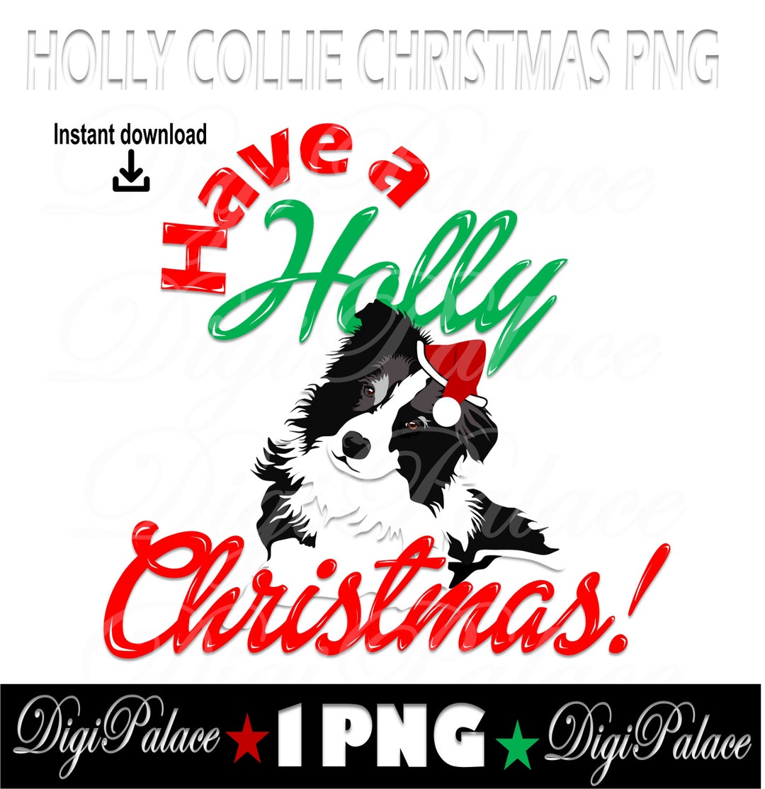 Holly Collie Christmas Dog PNG, Dog Santa Hat Clipart, Funny Face ...